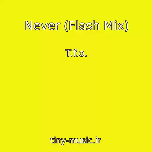 کاور آهنگ Never (Flash Mix) از T.f.o.