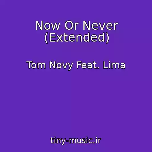 کاور آهنگ Now Or Never (Extended) از Tom Novy Feat. Lima