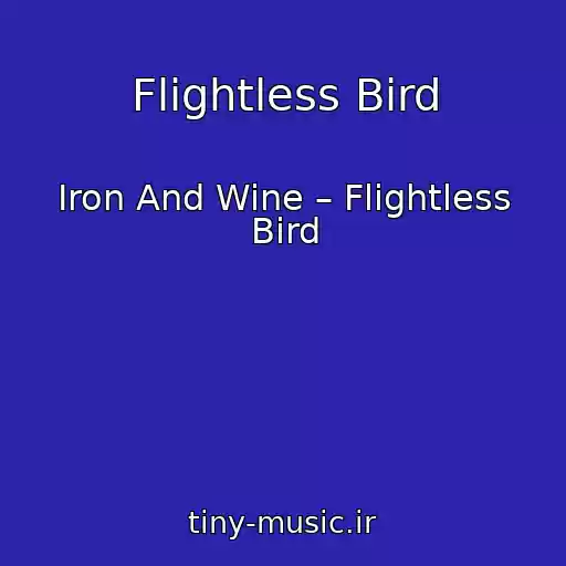 کاور آهنگ Flightless Bird از Iron And Wine – Flightless Bird