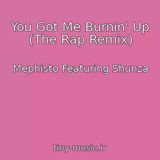 کاور آهنگ You Got Me Burnin' Up (The Rap Remix) از Mephisto Featuring Shunza