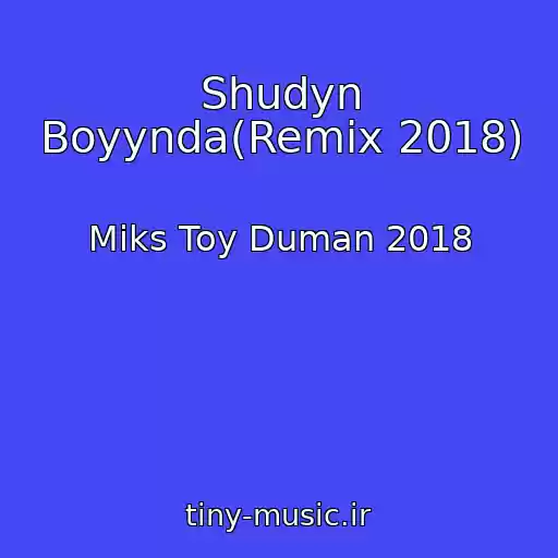 کاور آهنگ Shudyn Boyynda(Remix 2018) از Miks Toy Duman 2018