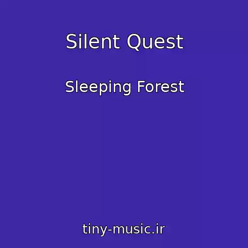 کاور آهنگ Silent Quest از Sleeping Forest