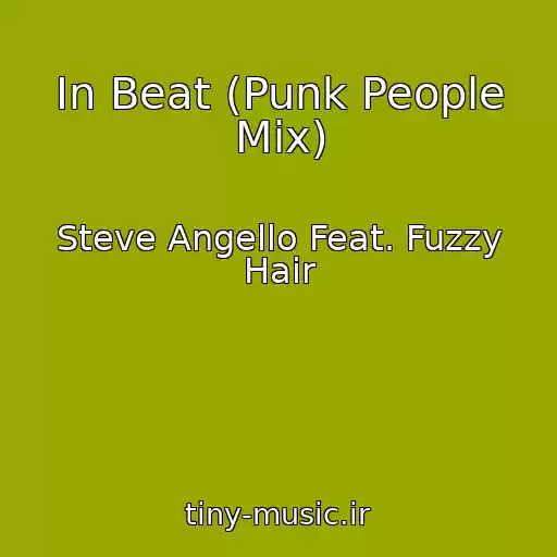 کاور آهنگ In Beat (Punk People Mix) از Steve Angello Feat. Fuzzy Hair