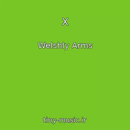 کاور آهنگ X از Welshly Arms
