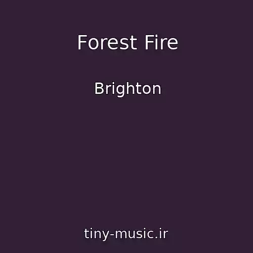 کاور آهنگ Forest Fire از Brighton