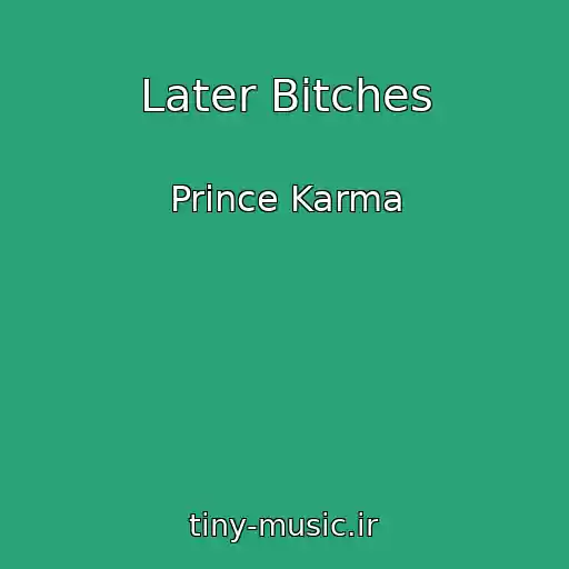 کاور آهنگ Later Bitches از Prince Karma