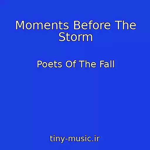 کاور آهنگ Moments Before The Storm از Poets Of The Fall