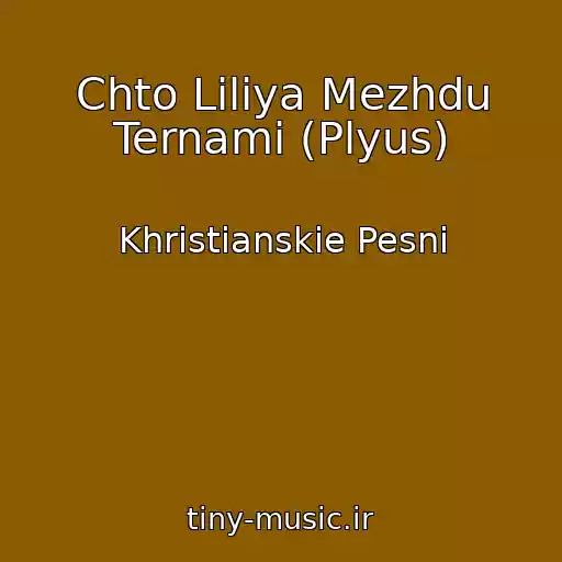 کاور آهنگ Chto Liliya Mezhdu Ternami (Plyus) از Khristianskie Pesni