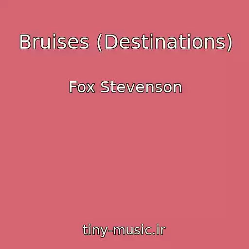 کاور آهنگ Bruises (Destinations) از Fox Stevenson