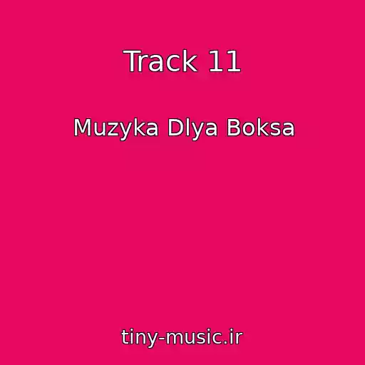 کاور آهنگ Track 11 از Muzyka Dlya Boksa