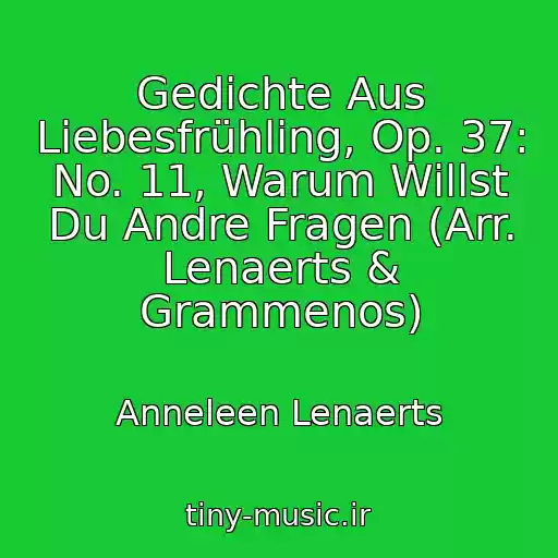 کاور آهنگ Gedichte Aus Liebesfrühling, Op. 37: No. 11, Warum Willst Du Andre Fragen (Arr. Lenaerts & Grammenos) از Anneleen Lenaerts