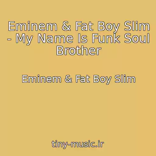 کاور آهنگ Eminem & Fat Boy Slim - My Name Is Funk Soul Brother از Eminem & Fat Boy Slim