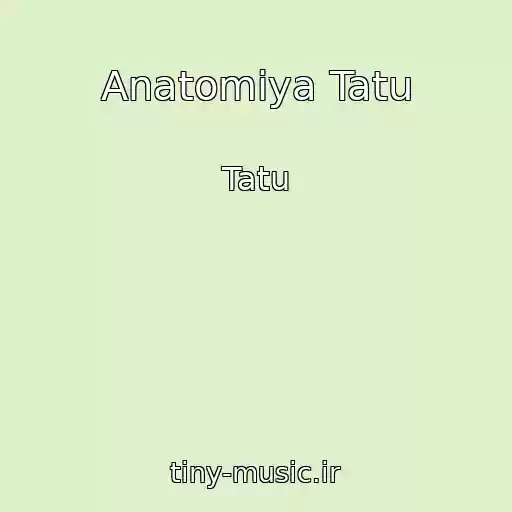 کاور آهنگ Anatomiya Tatu از Tatu