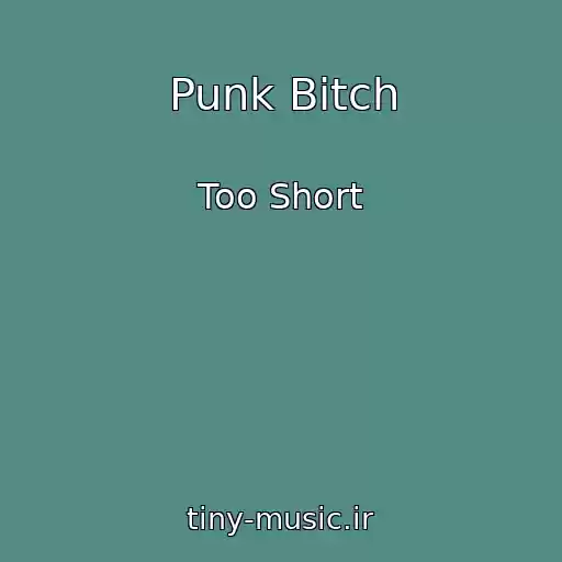 کاور آهنگ Punk Bitch از Too Short