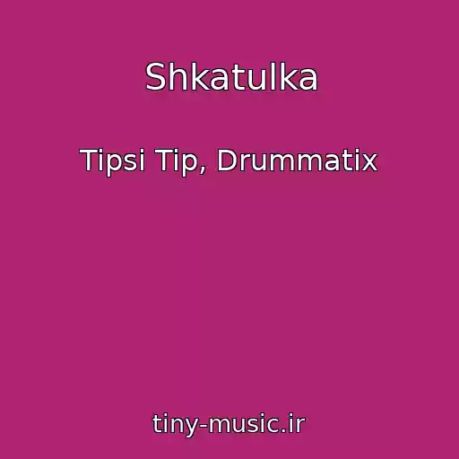 کاور آهنگ Shkatulka از Tipsi Tip, Drummatix
