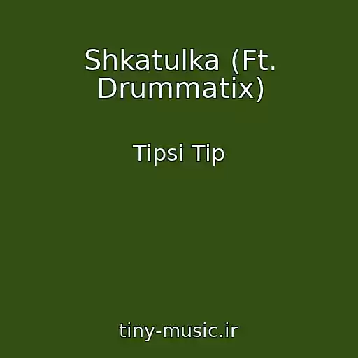 کاور آهنگ Shkatulka (Ft. Drummatix) از Tipsi Tip
