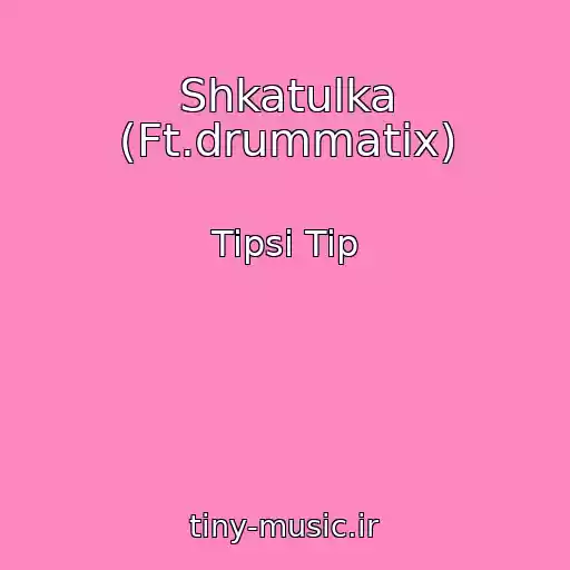کاور آهنگ Shkatulka (Ft.drummatix) از Tipsi Tip