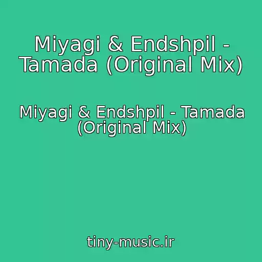 کاور آهنگ Miyagi & Endshpil - Tamada (Original Mix) از Miyagi & Endshpil - Tamada (Original Mix)
