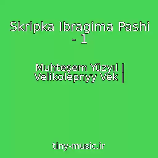 کاور آهنگ Skripka Ibragima Pashi - 1 از Muhteşem Yüzyıl | Velikolepnyy Vek |