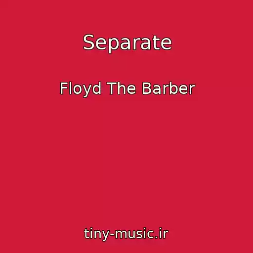 کاور آهنگ Separate از Floyd The Barber