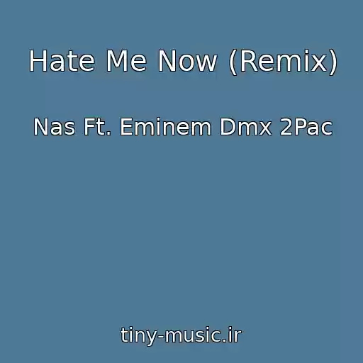 کاور آهنگ Hate Me Now (Remix) از Nas Ft. Eminem Dmx 2Pac