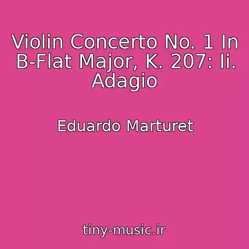 کاور آهنگ Violin Concerto No. 1 In B-Flat Major, K. 207: Ii. Adagio از Eduardo Marturet