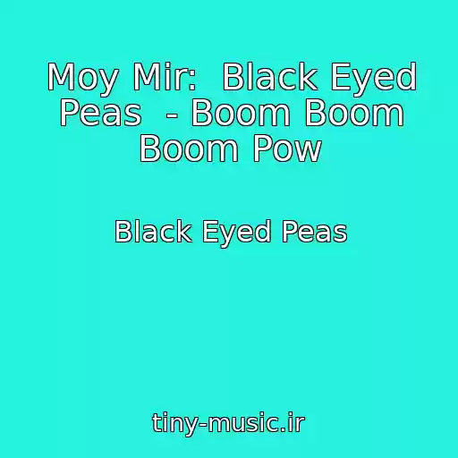 کاور آهنگ Moy Mir:  Black Eyed Peas  - Boom Boom Boom Pow از Black Eyed Peas