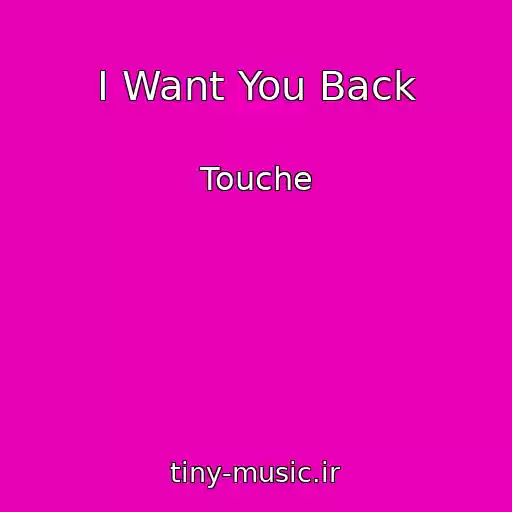 کاور آهنگ I Want You Back از Touche
