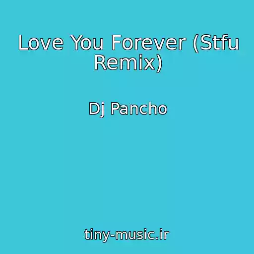 کاور آهنگ Love You Forever (Stfu Remix) از Dj Pancho