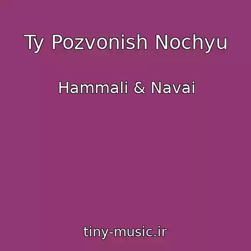 کاور آهنگ Ty Pozvonish Nochyu از Hammali & Navai