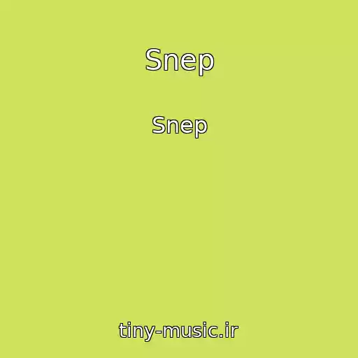 کاور آهنگ Snep از Snep