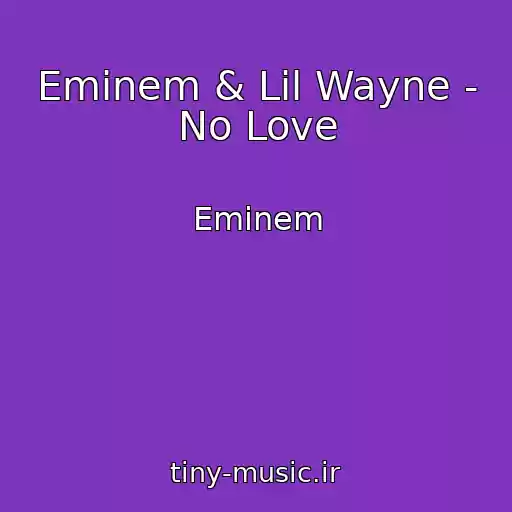 کاور آهنگ Eminem & Lil Wayne - No Love از Eminem