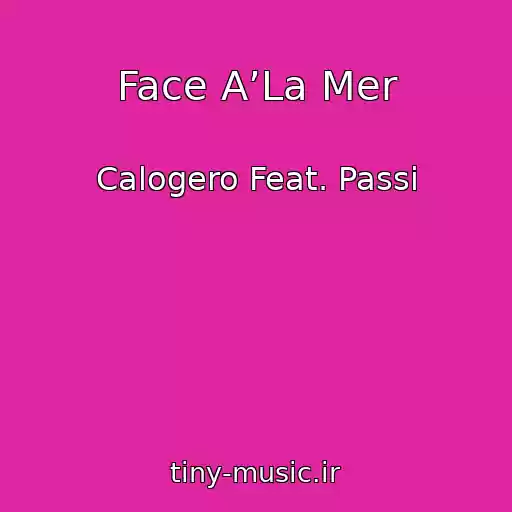 کاور آهنگ Face A’La Mer از Calogero Feat. Passi