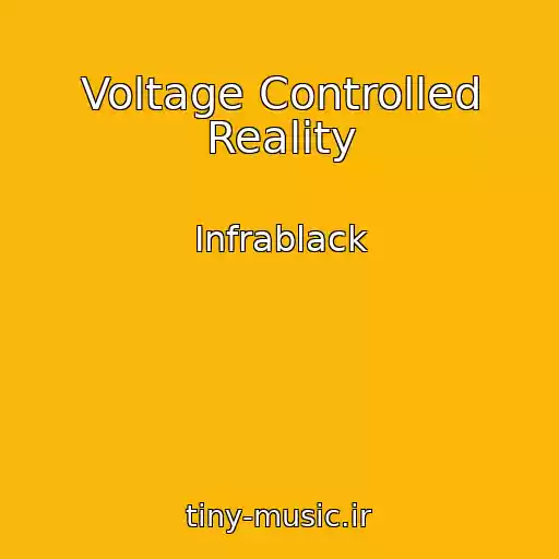 کاور آهنگ Voltage Controlled Reality از Infrablack