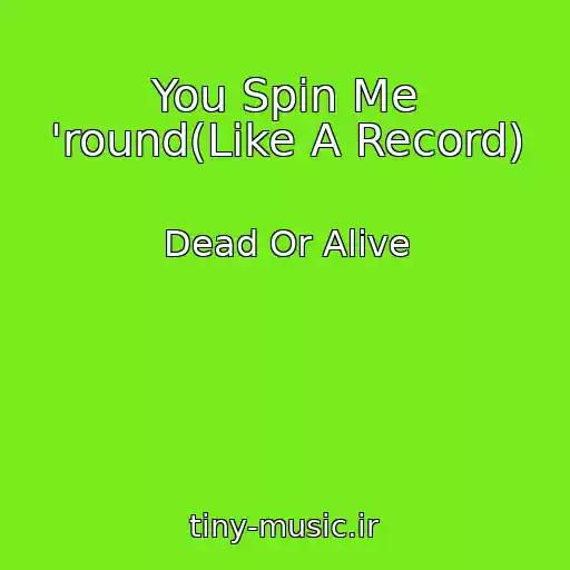 کاور آهنگ You Spin Me 'round(Like A Record) از Dead Or Alive