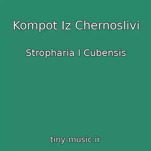 کاور آهنگ Kompot Iz Chernoslivi از Stropharia I Cubensis
