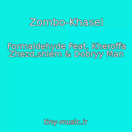کاور آهنگ Zombo-Khasel از Formaldehyde Feat. Kheroffa Zhezd,shlem & Dobryy Man