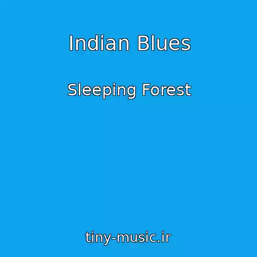 کاور آهنگ Indian Blues از Sleeping Forest