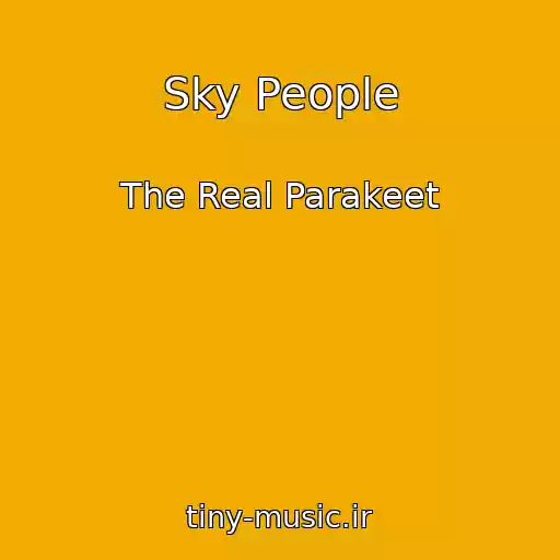 کاور آهنگ Sky People از The Real Parakeet