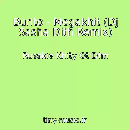 کاور آهنگ Burito - Megakhit (Dj Sasha Dith Remix) از Russkie Khity Ot Dfm