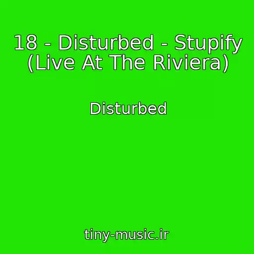 کاور آهنگ 18 - Disturbed - Stupify (Live At The Riviera) از Disturbed