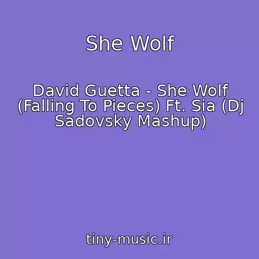 کاور آهنگ She Wolf از David Guetta - She Wolf (Falling To Pieces) Ft. Sia (Dj Sadovsky Mashup)