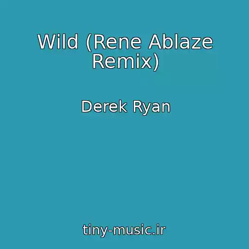 کاور آهنگ Wild (Rene Ablaze Remix) از Derek Ryan
