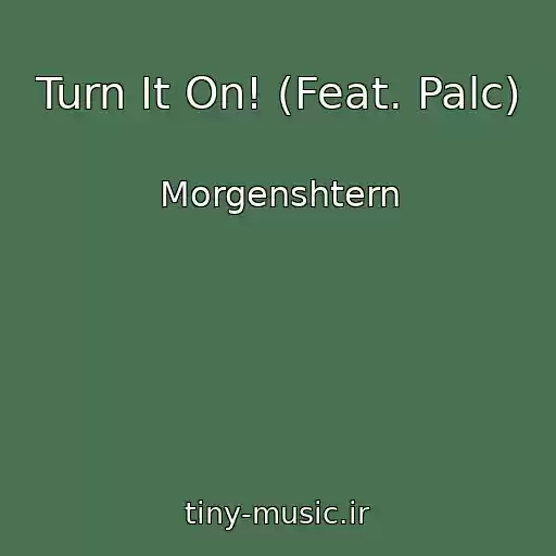 کاور آهنگ Turn It On! (Feat. Palc) از Morgenshtern