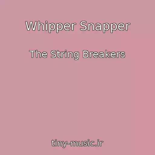 کاور آهنگ Whipper Snapper از The String Breakers