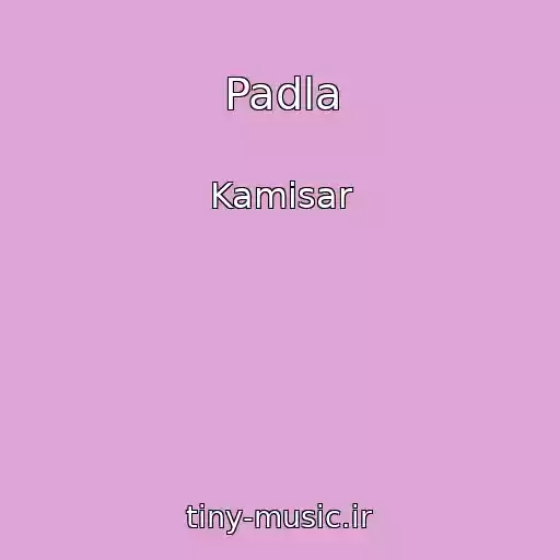 کاور آهنگ Padla از Kamisar