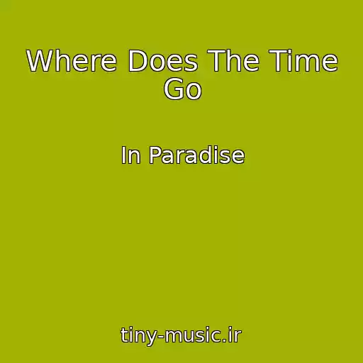 کاور آهنگ Where Does The Time Go از In Paradise