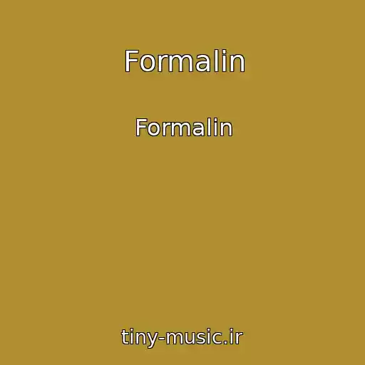 کاور آهنگ Formalin از Formalin
