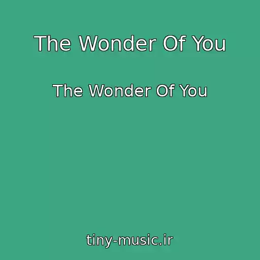 کاور آهنگ The Wonder Of You از The Wonder Of You