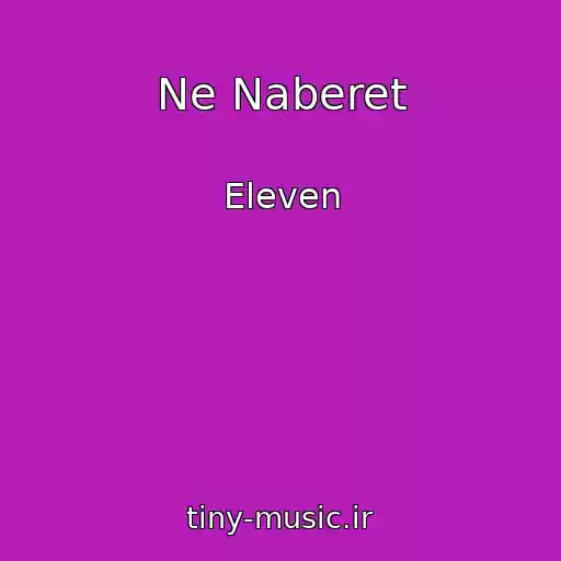 کاور آهنگ Ne Naberet از Eleven